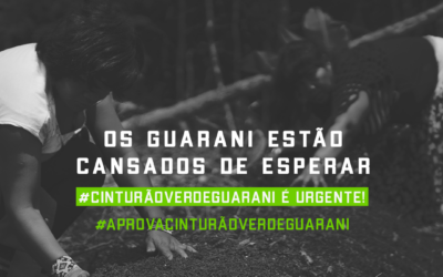 #AprovaCinturão: manifesto guarani pelo PL do Cinturão Verde Guarani (181/2016)