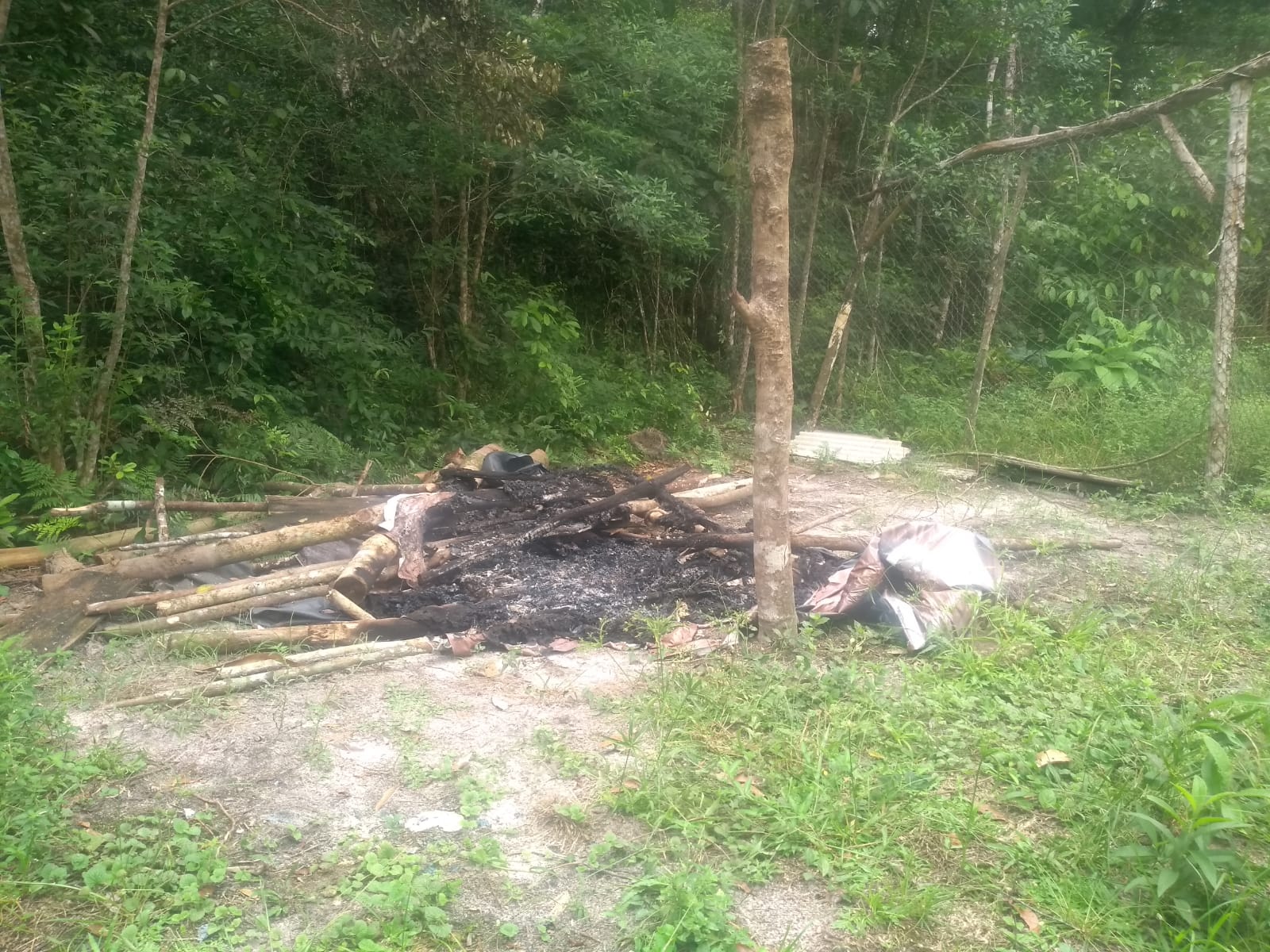 Depósito de mudas e galinheiro destruídos e queimados / Foto: Comunidade indígena