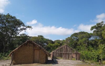 Guarani querem proteção da TI Ka’aguy Hovy no Vale do Ribeira (SP)