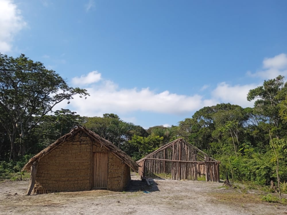 Casas na TI Ka'aguy Hovy do povo Guarani, no Vale do Ribeira (SP) / Crédito: Juliana Mindua